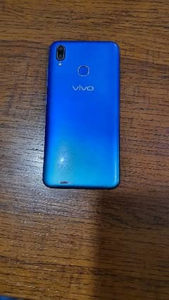 vivo