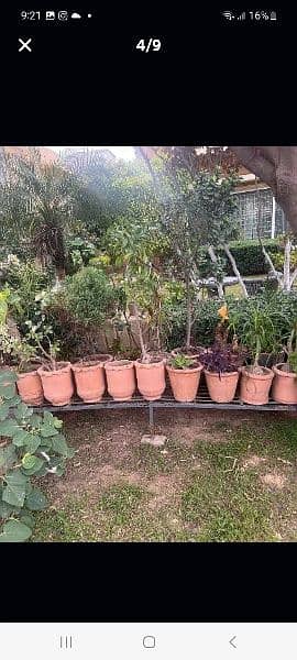 60 small plant pots. 6 large. 2 big iron stand and 6 single white iron 3
