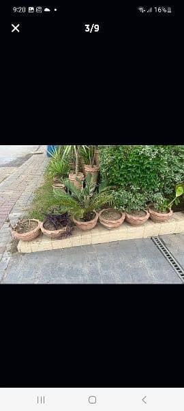 60 small plant pots. 6 large. 2 big iron stand and 6 single white iron 4