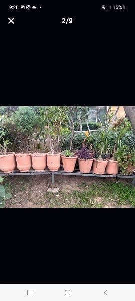 60 small plant pots. 6 large. 2 big iron stand and 6 single white iron 5