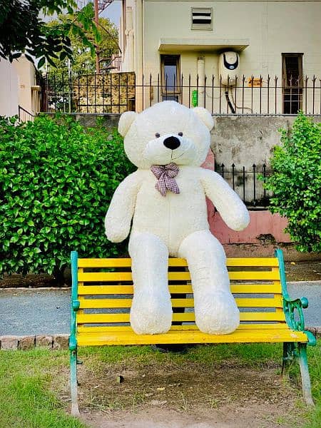 primer quality teady bear available 3