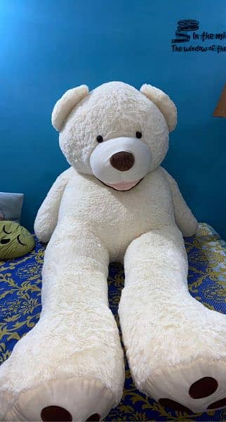 primer quality teady bear available 5