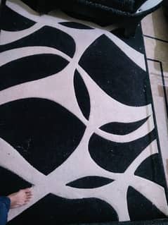 Black & White Carpet 0