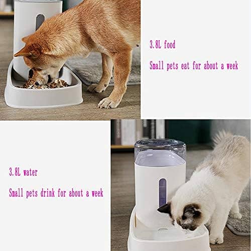 Automatic cat and Dog Feeder 6