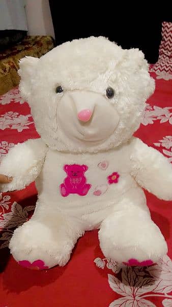 white Teddy bear 0