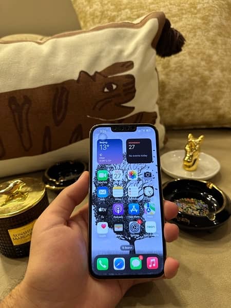 iPhone 13 Pro Max Gold Factory Unlock! 15