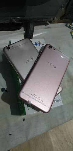 VIVO