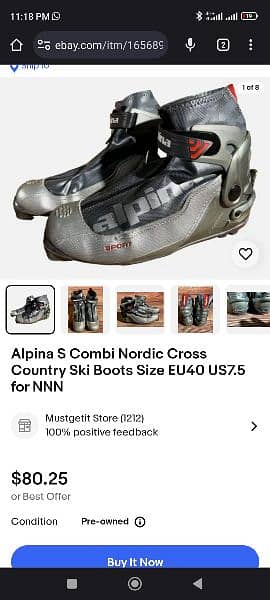 alpina shoes  size 42 9