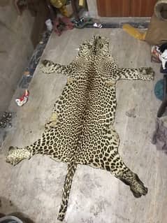 Beautiful Rare leopard rug for sale