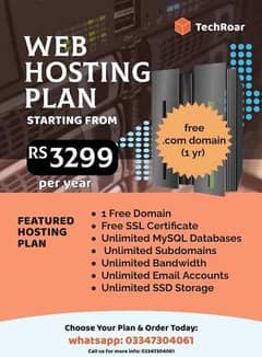Hosting and domain(. com)