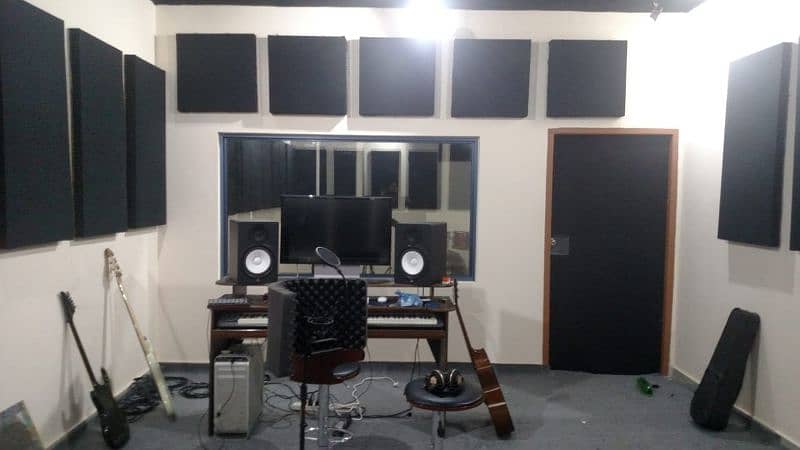 Acoustic panels 12