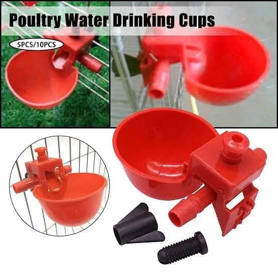 Auto water nipples and cups for Bird's available 2