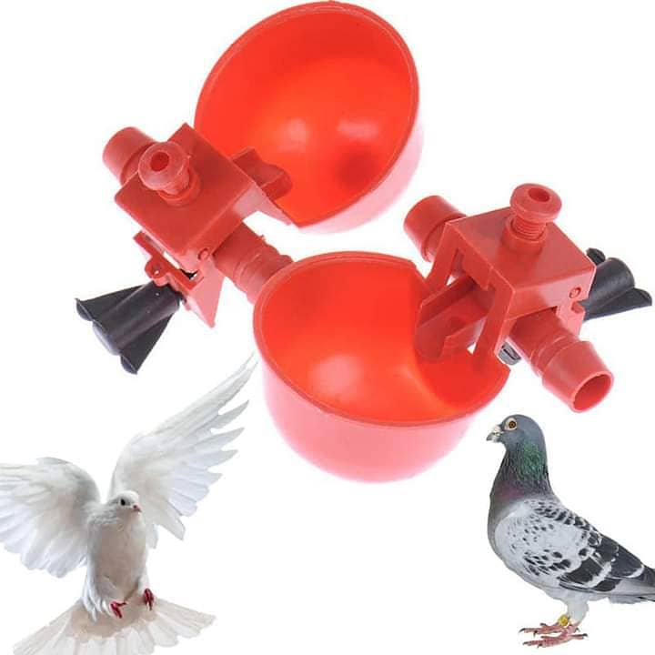 Auto water nipples and cups for Bird's available 3