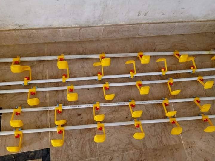 Auto water nipples and cups for Bird's available 4