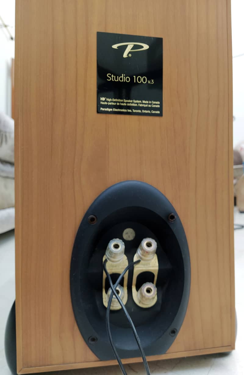 Paradigm Reference Studio 100 v3 Floorstanding Speakers (Rare) 4