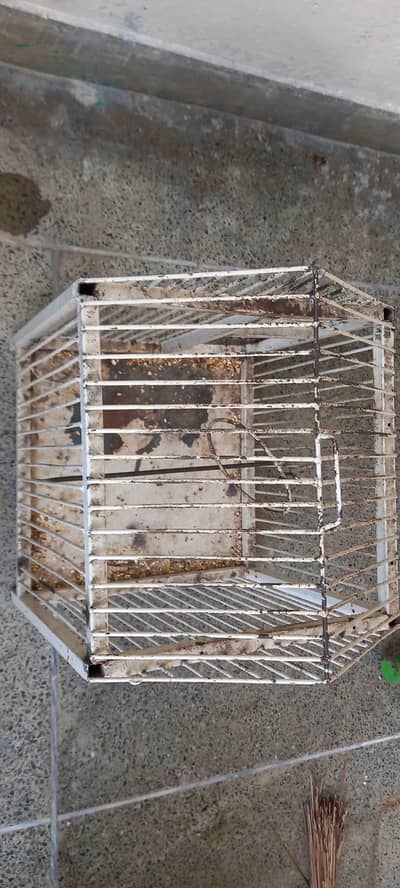 Parrot Cage for sale