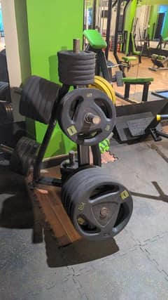 rubber coated dumbbell 230 per kg available