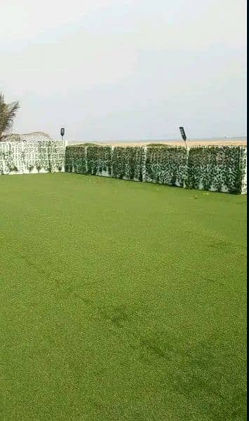 Artificial Grass Carpet Roll |Field grass | Roof grass |Grass Carpet 14