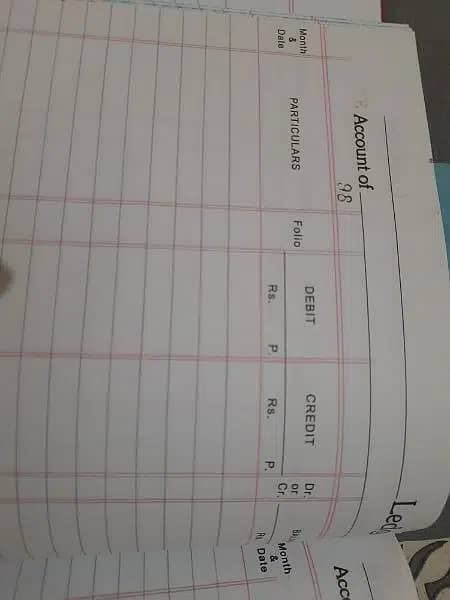 Kohinoor Accounts Ledger 2