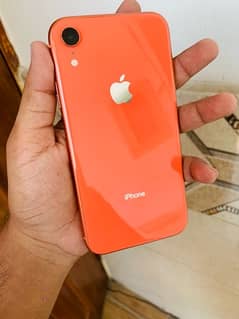 iphone xr price in olx