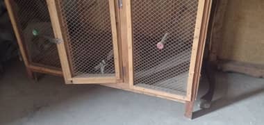 paki lakri ka cage for Hens parrots and ducks