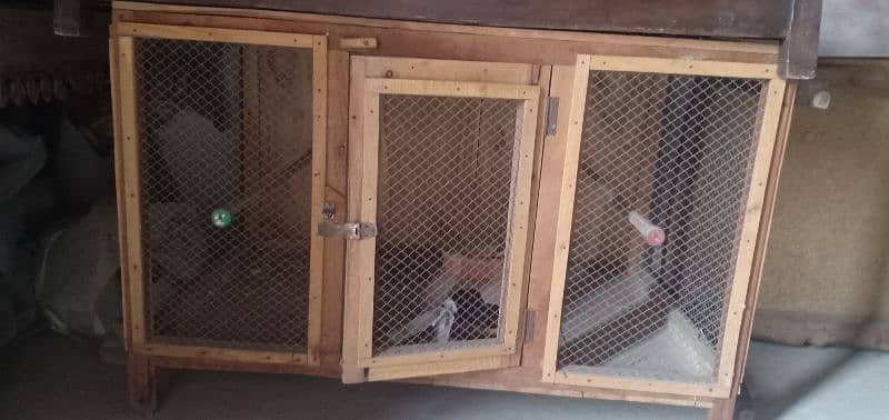 paki lakri ka cage for Hens parrots and ducks 1