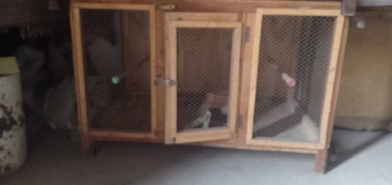 paki lakri ka cage for Hens parrots and ducks 2