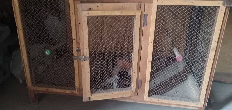 paki lakri ka cage for Hens parrots and ducks 3