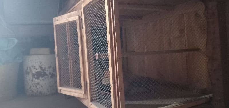 paki lakri ka cage for Hens parrots and ducks 4