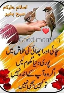 Ghulam Mustafa 