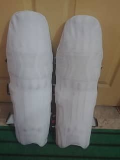 CA Cricket Pads ( Player Edition ) 0