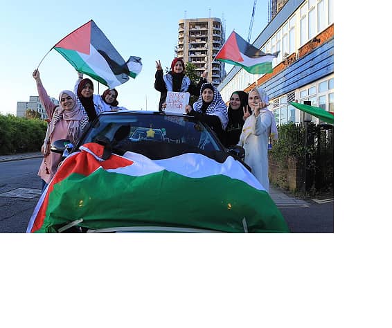 free Palestine flag and Car Flag Pole / Car Rod for Diplomats 2