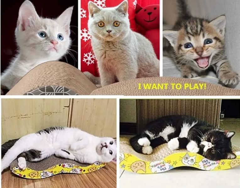 Cat Scratcher Cat Scratching Board Durable Kitten Scratching Pads 2