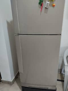 PEL Refrigerator full size