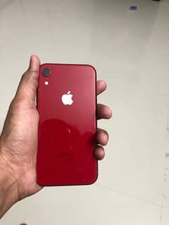 iphone xr price olx