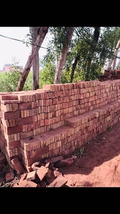 Sohail Bricks & Company, Cemnet TraderWe have all brand Cemnet ava