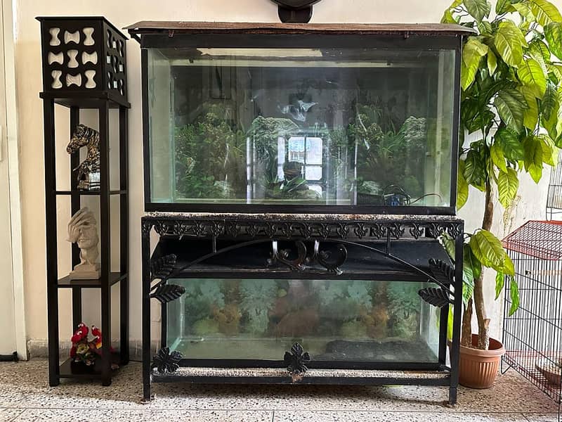 Aquarium Two full size 12mm glass aquarium 8