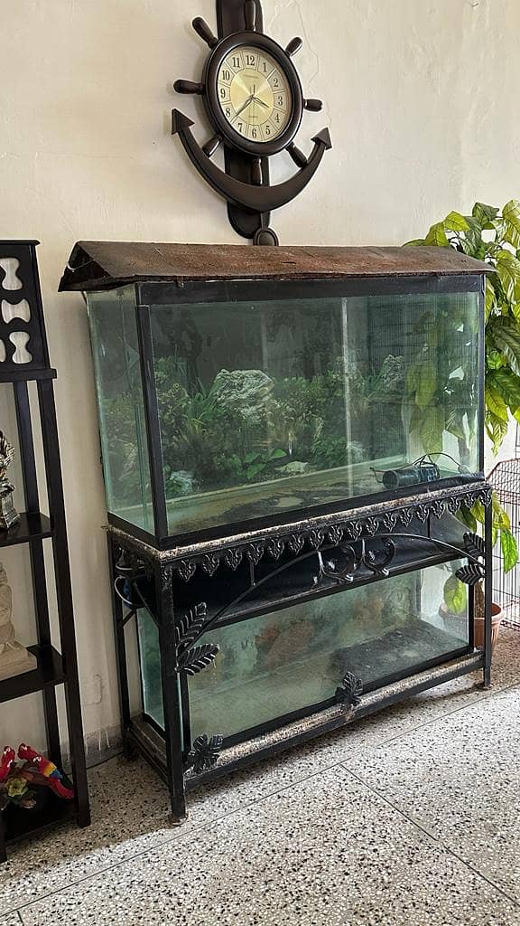 Aquarium Two full size 12mm glass aquarium 4