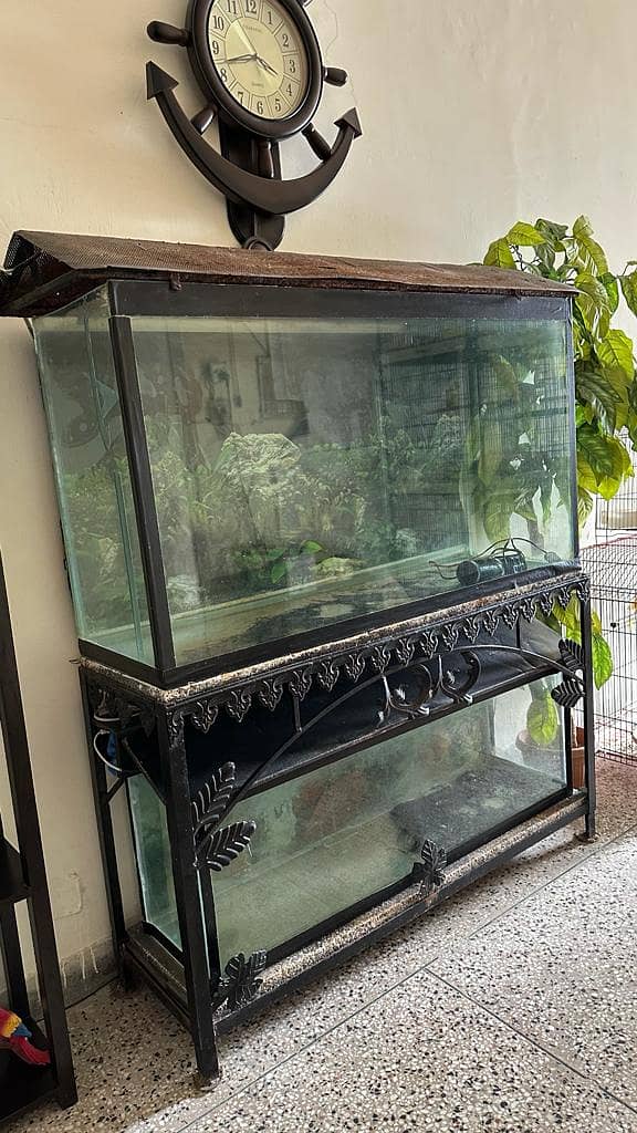 Aquarium Two full size 12mm glass aquarium 5