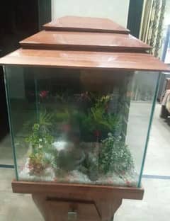 fish aquarium for sale