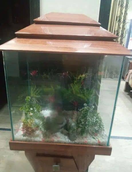 fish aquarium for sale 0