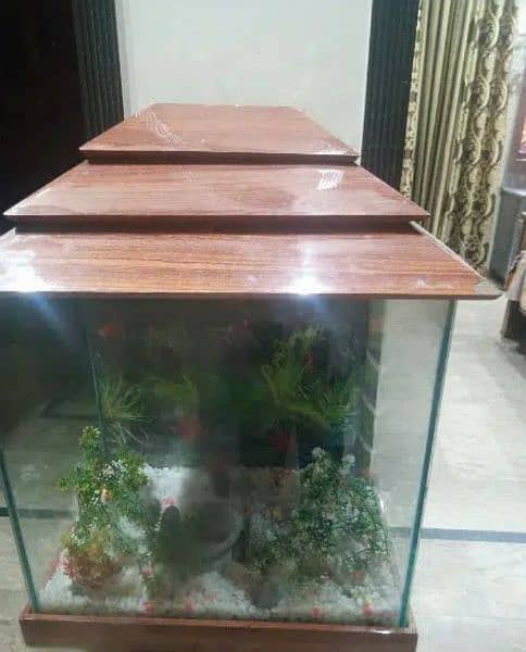 fish aquarium for sale 1