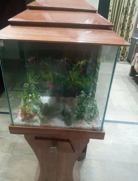 fish aquarium for sale 3