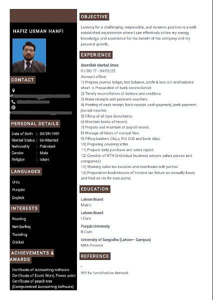 Professional CV / Resume . 3