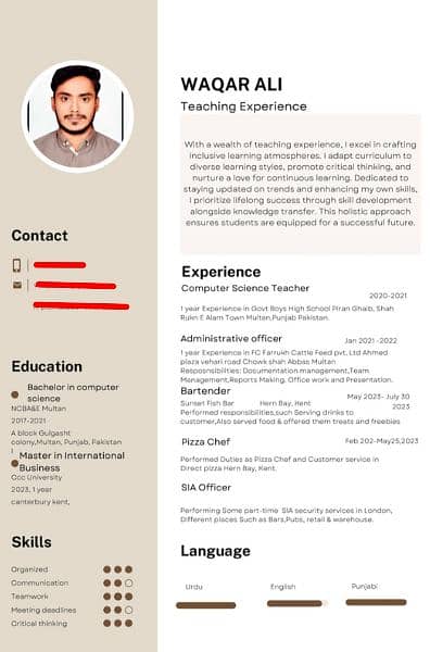 Professional CV / Resume . 4