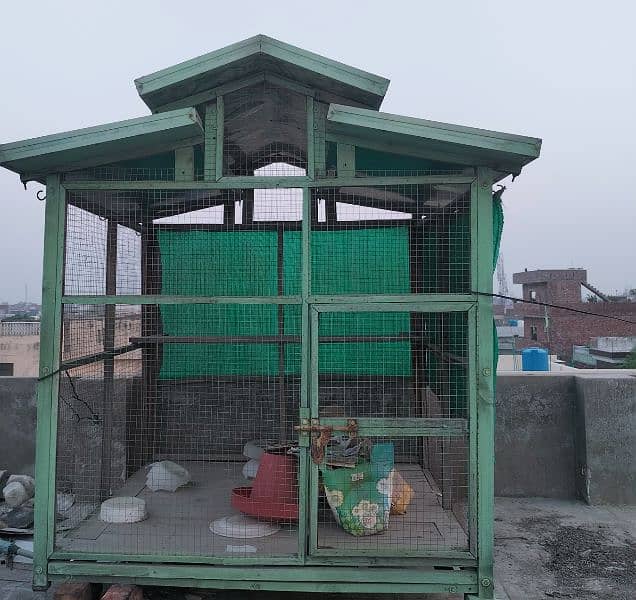 wooden cages for birds/hens 5×5×5 10