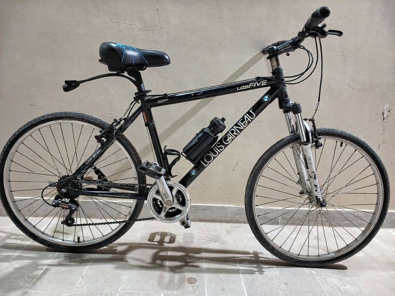Hybrid bike 1