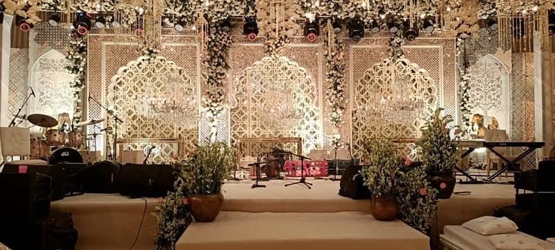 Wedding decor / catering / wedding house lighting 2