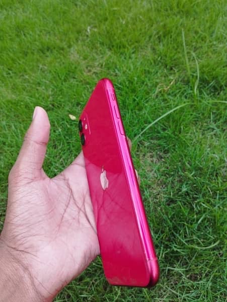 i phone 11 (red edition) 4