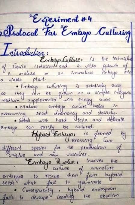 Handwriting assignment work 7